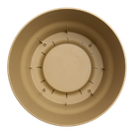 greenville coupe 33cm sable doré